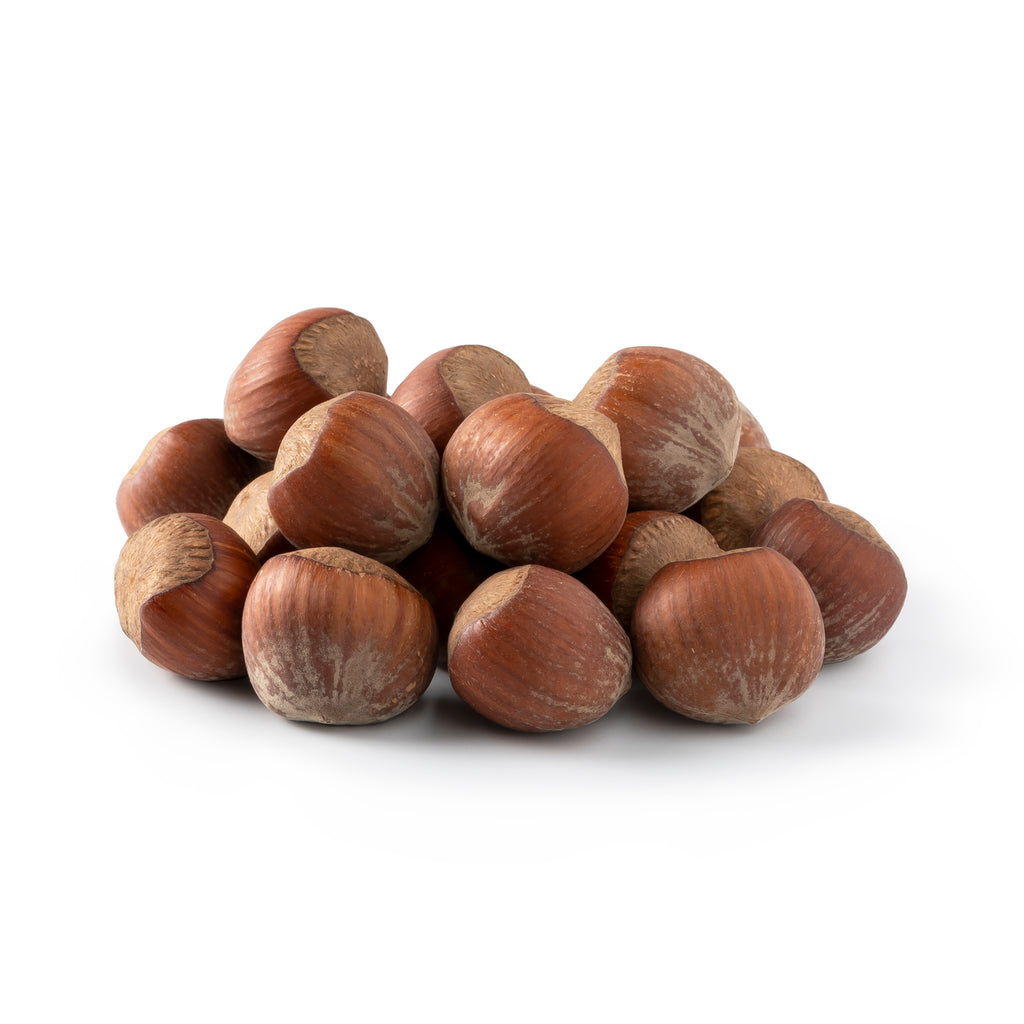 Nuts-US-Oregon-Hazelnuts-In-Shell-Image